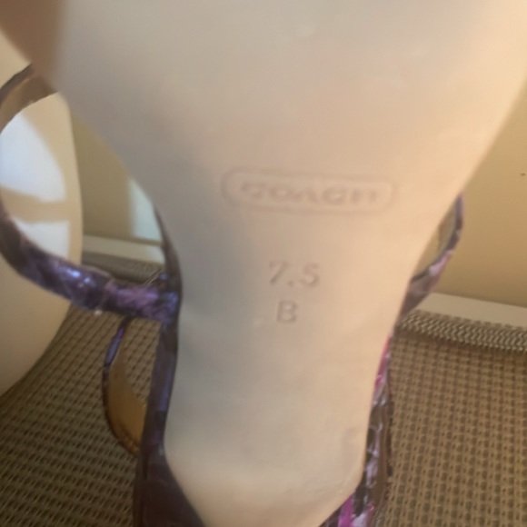 COACH, NEW,  Python Heels - Picture 8 of 11